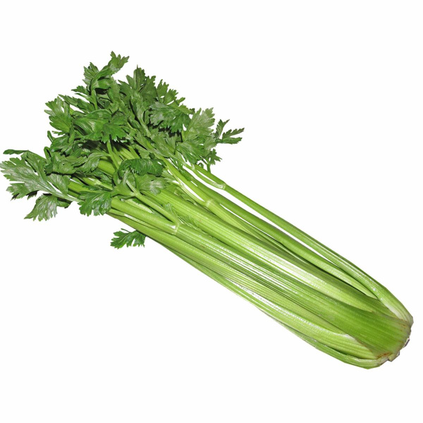 Produktfoto zu Stangensellerie