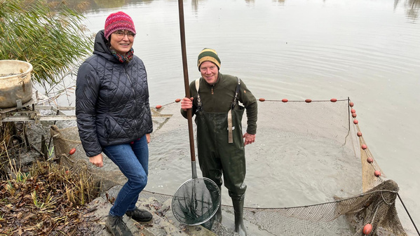 KI generiert: Das Bild zeigt zwei Personen an einem Teichrand beim Fischfang. Eine Person steht im Wasser mit einem Kescher, während die andere Person am Ufer steht.