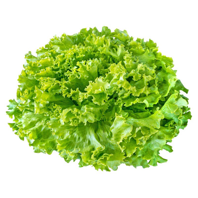 Produktfoto zu Batavia grün