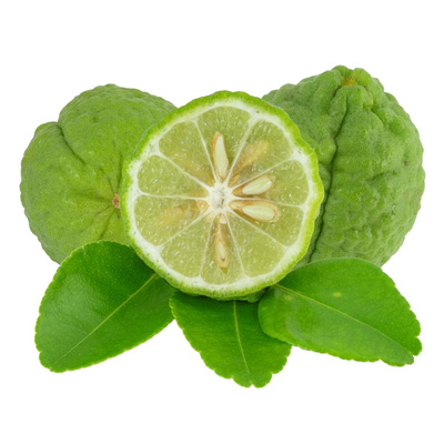 Produktfoto zu Bergamotten