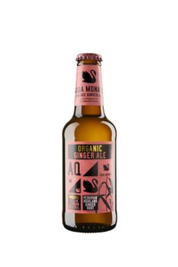 Produktfoto zu Ginger Ale 0,23l