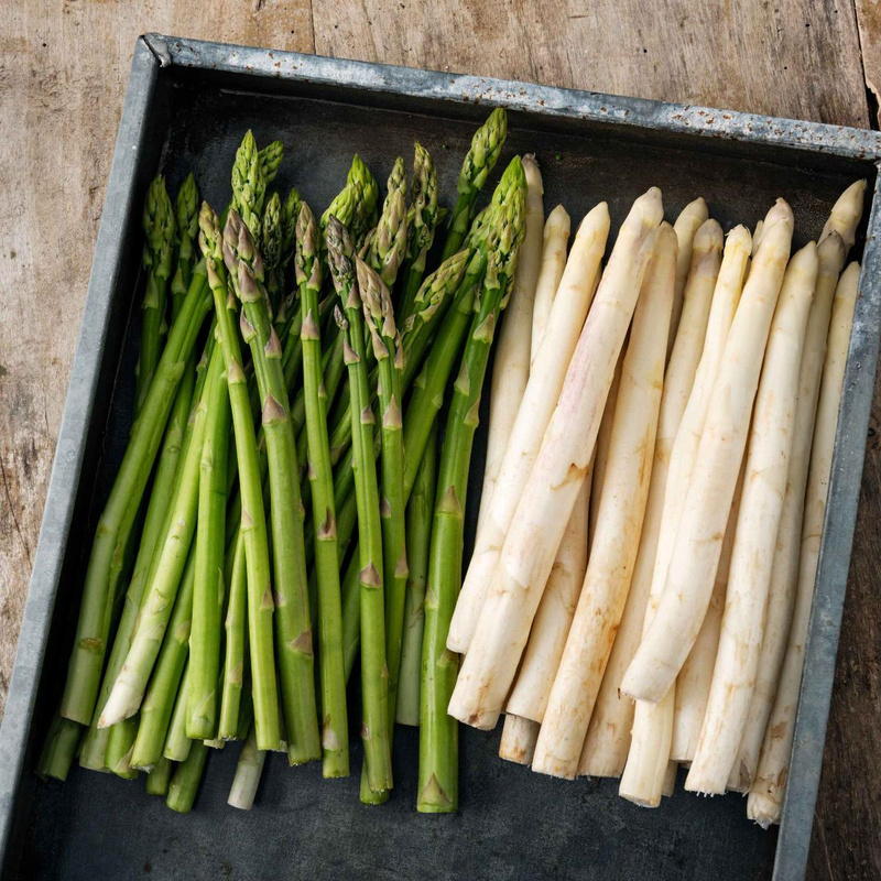 Spargel
