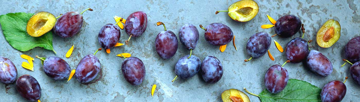 KI generiert: Frische Zwetschgen und Blätter auf einer grauen Oberfläche, einige Zwetschgen sind halbiert.