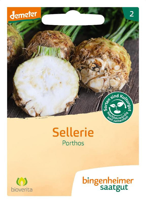 Produktfoto zu Knollensellerie Porthos