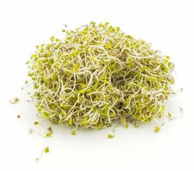 Produktfoto zu Frühlingssprossen 100g