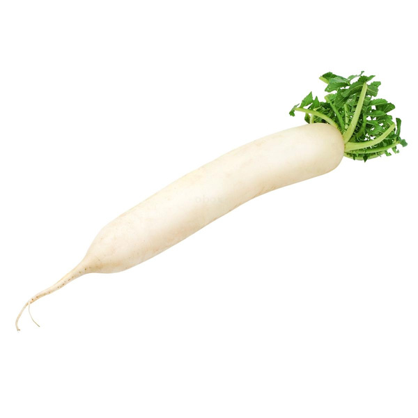 Produktfoto zu Rettich weiß