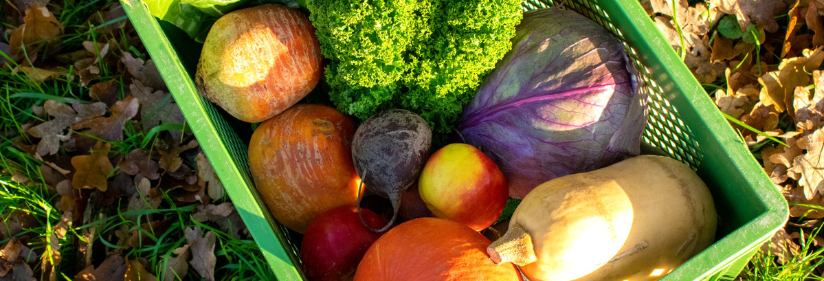KI generiert: Gemüse und Obst in einem grünen Korb auf Gras und Laub.