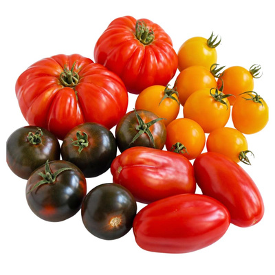 Produktfoto zu Tomaten Raritäten