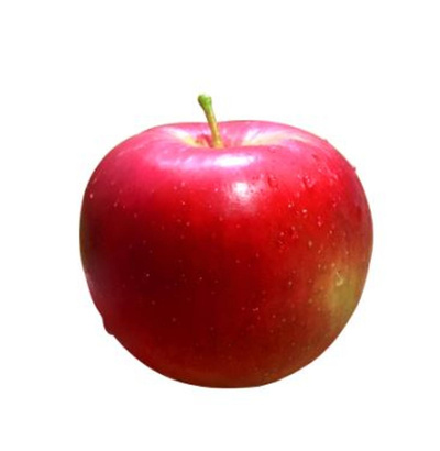 Produktfoto zu Apfel Natyra