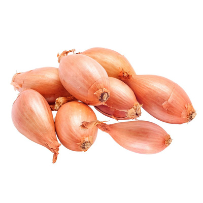 Produktfoto zu Schalotten
