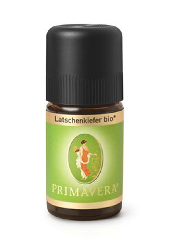 Produktfoto zu Ätherisches Öl Latschenkiefer