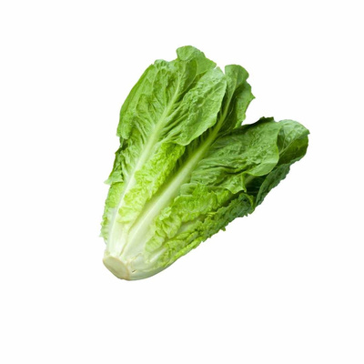 Produktfoto zu Romanasalat rot, Mini