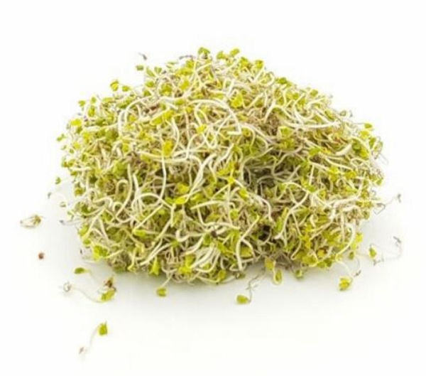 Produktfoto zu Frühlingssprossen 100g