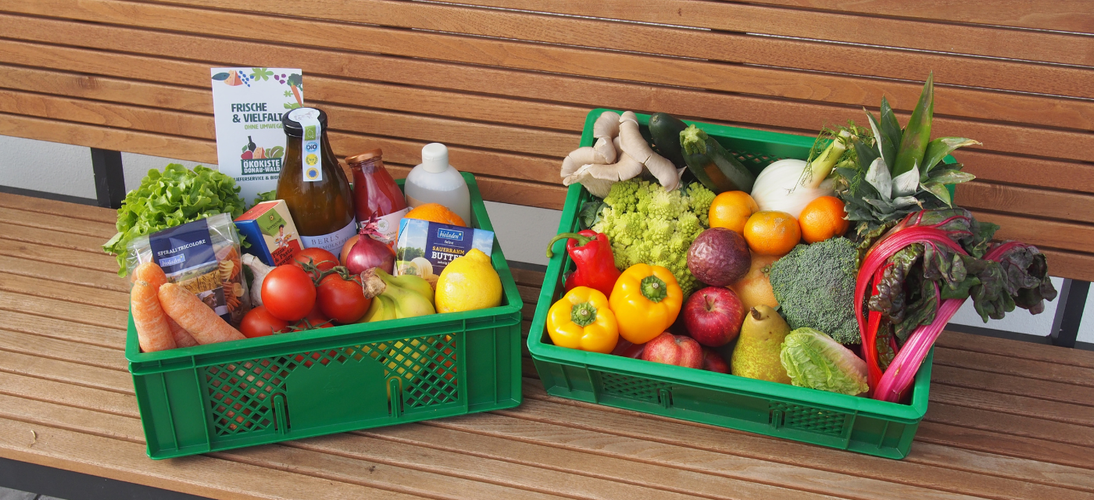 Bunt gefüllte grüne Ökokisten auf einer Bank