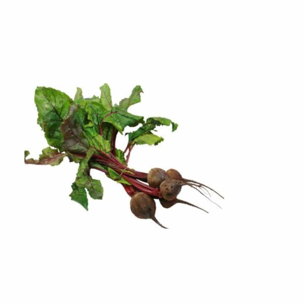 Produktfoto zu Rote Bete Bund