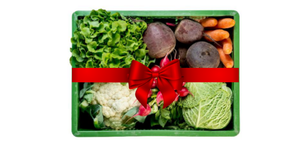 KI generiert: Das Bild zeigt eine grüne Kiste mit frischem Gemüse wie Salat, Blumenkohl und Karotten, die mit einer roten Schleife verziert ist. Der Hauptinhalt des Bildes ist die dekorative Darstellung von Gemüse als Geschenk.