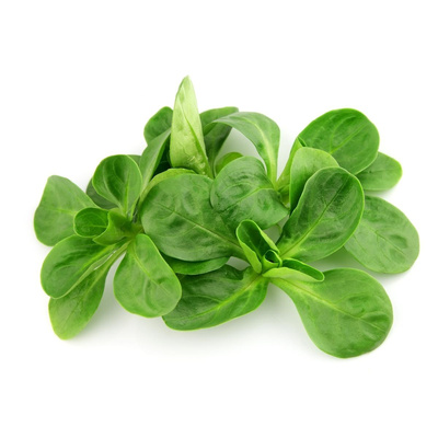 Produktfoto zu Feldsalat regional