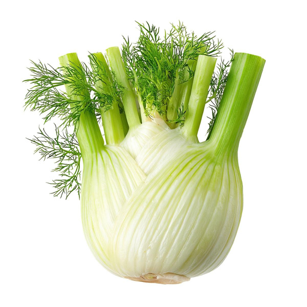 Produktfoto zu Fenchel