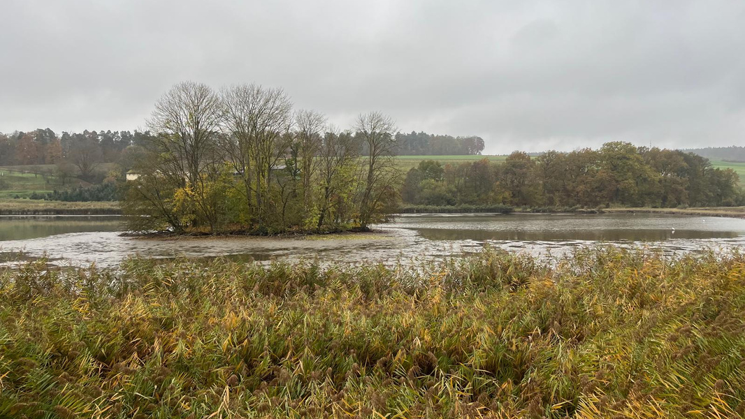 KI generiert: Das Bild zeigt eine herbstliche Landschaft mit einem Teich, in dessen Mitte eine kleine bewaldete Insel liegt. Im Vordergrund sind Gräser zu sehen, und der Himmel ist wolkenverhangen und grau.