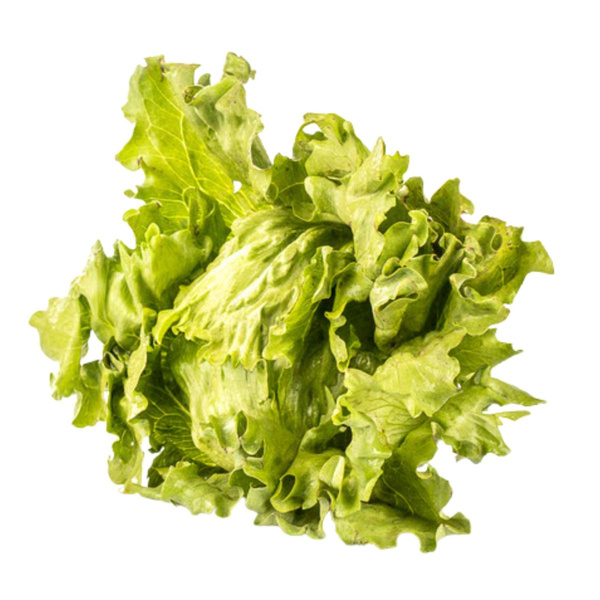 Produktfoto zu Eissalat