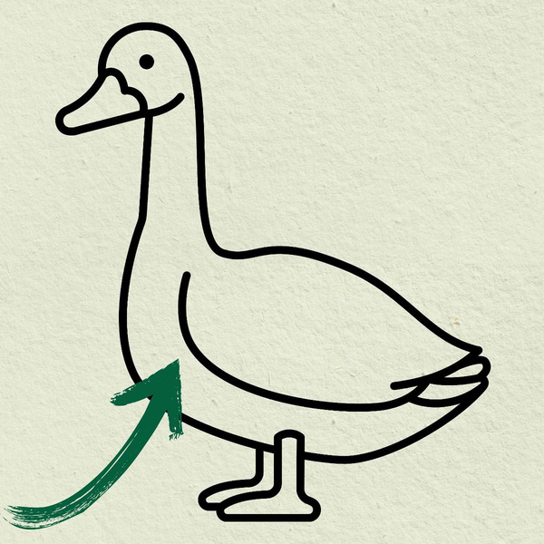 Produktfoto zu Gänsebrust