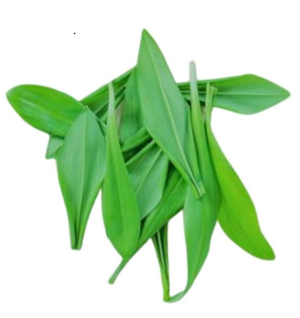 Produktfoto zu Bärlauch lose