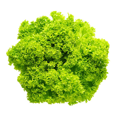 Produktfoto zu Lollo Bionda