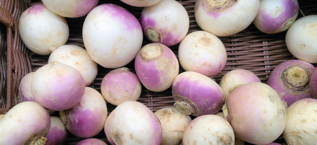 lila-weiße Navetten in einem Korb