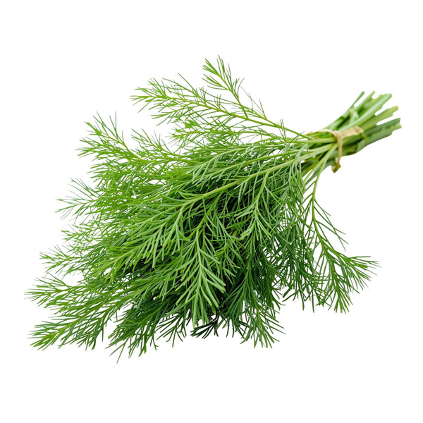 Produktfoto zu Dill Bund