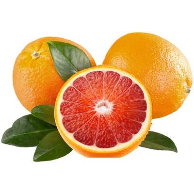 Produktfoto zu Blutorangen Moro