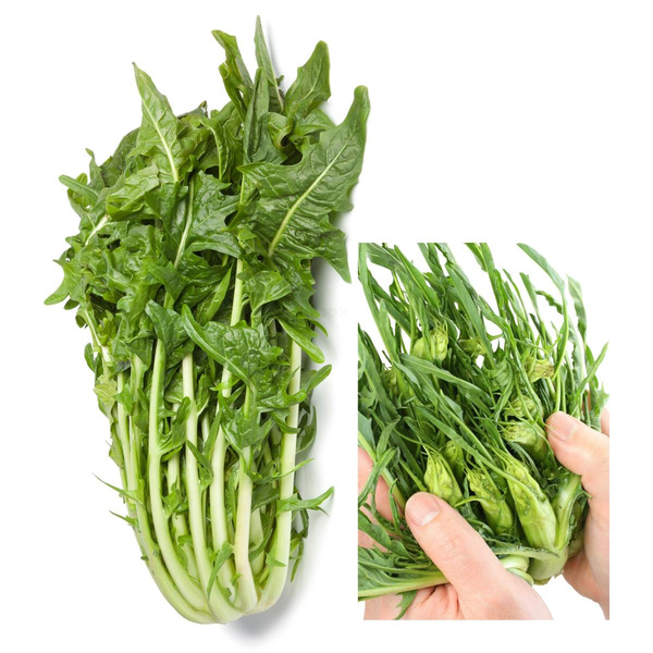 Produktfoto zu Puntarelle