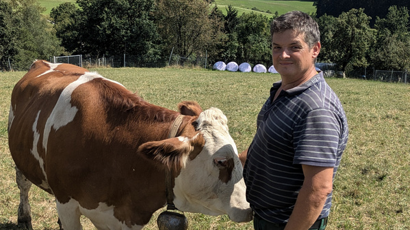 KI generiert: Ein Mann steht auf einer Weide neben einer Kuh, beide schauen zur Kamera.