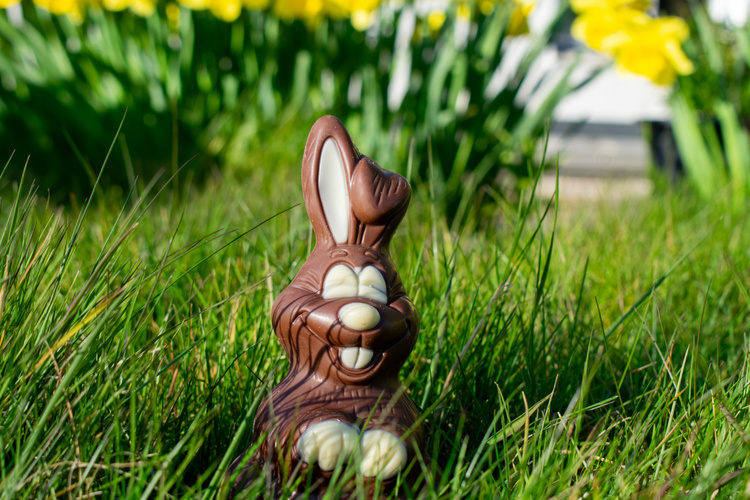 KI generiert: Ein Schokoladenhase steht im Gras, im Hintergrund sind gelbe Blumen zu sehen.
