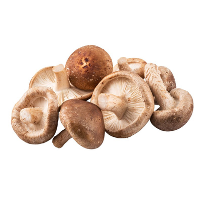 Produktfoto zu Shiitake
