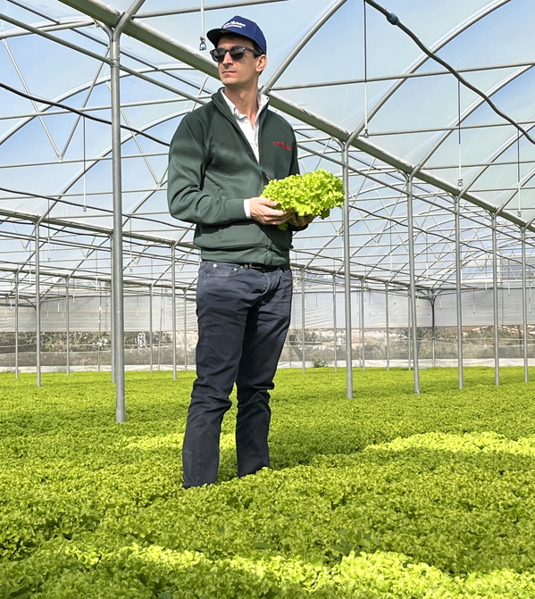 KI generiert: Eine Person steht in einem Gewächshaus und hält Salat.
