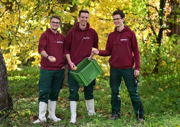 KI generiert: Drei Personen in roten Hoodies mit Obst und Kiste im Freien unter gelbem Laub.