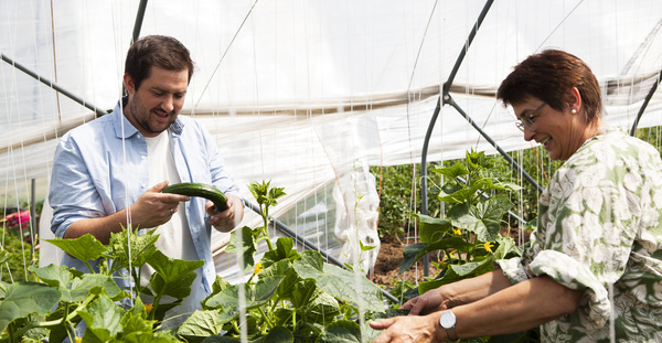 KI generiert: Zwei Personen pflücken Gemüse in einem Gewächshaus.