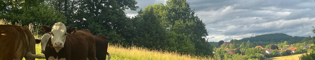 KI generiert: Kühe stehen auf einer grünen Wiese vor bewaldeter Landschaft unter bewölktem Himmel.