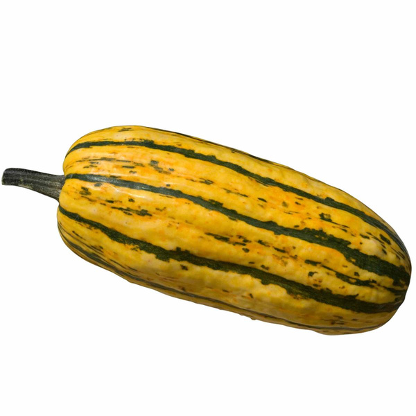 Produktfoto zu Kürbis Delicata