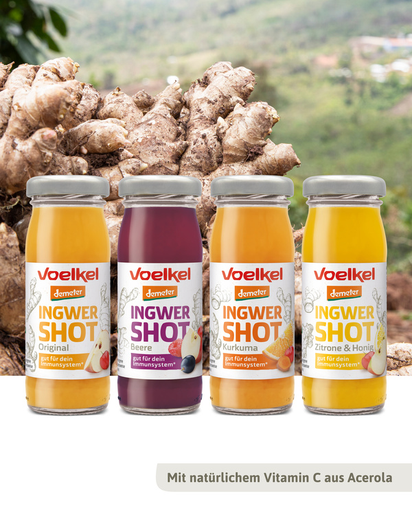 KI generiert: Ingwer-Shots in vier Sorten vor Ingwerhintergrund. Text: "Mit natürlichem Vitamin C aus Acerola".