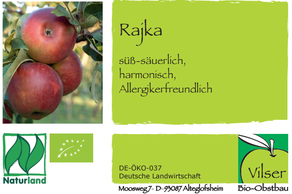 KI generiert: Äpfel, Sorte "Rajka", süß-säuerlich, harmonisch, Allergikerfreundlich; Naturland- und Bio-Zertifikate.