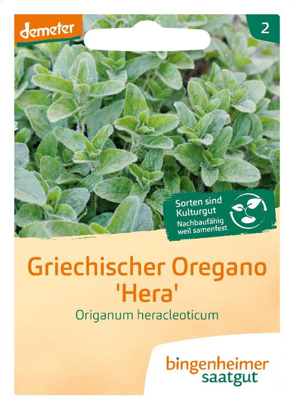 Produktfoto zu Saatgut Griechischer Oregano