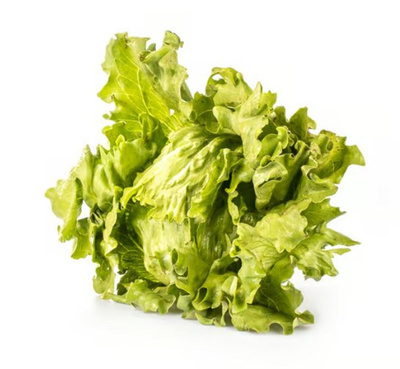 Produktfoto zu Eissalat