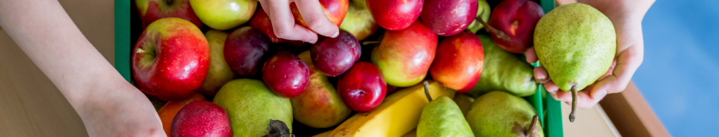 KI generiert: Verschiedene Früchte, darunter Äpfel, Birnen und Bananen, werden in einer Kiste gehalten.