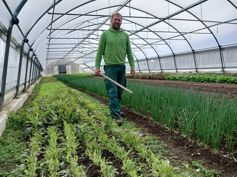 KI generiert: Ein Mensch in einem Gewächshaus mit Gemüsebeeten, hält ein Gartengerät in der Hand.