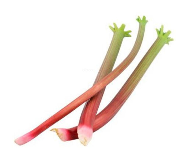 Produktfoto zu Rhabarber