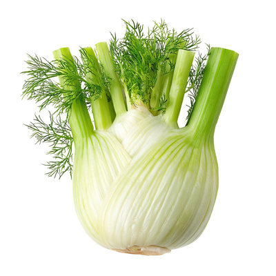 Produktfoto zu Fenchel