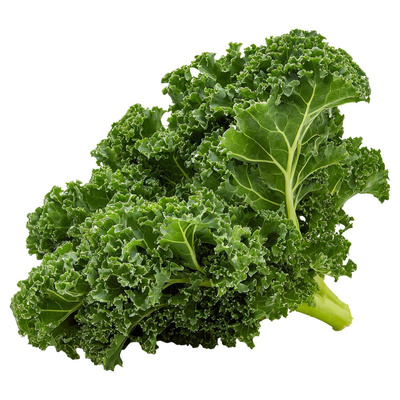 Produktfoto zu Grünkohl