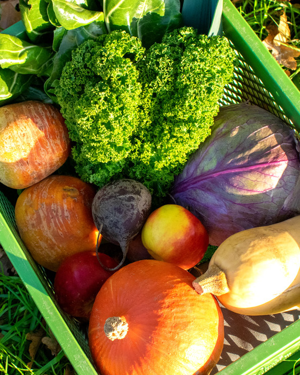 KI generiert: Frisches Gemüse und Obst in einem grünen Korb, darunter Kürbis, Grünkohl, Rote Bete und Apfel.