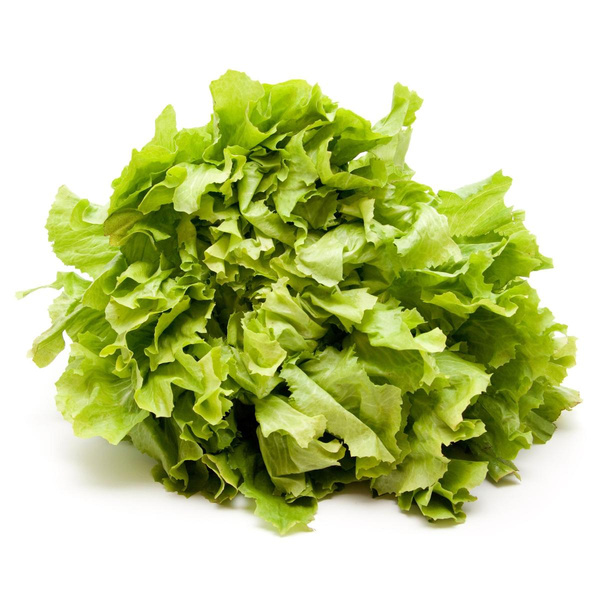 Produktfoto zu Endiviensalat